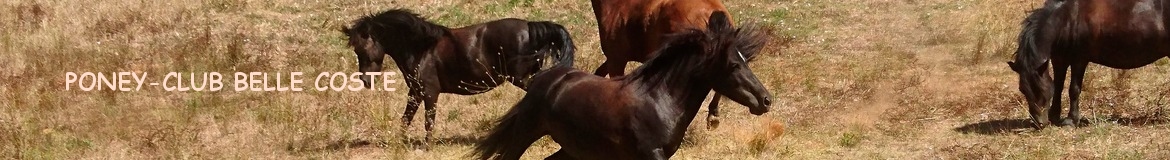 PONEY-CLUB BELLE COSTE